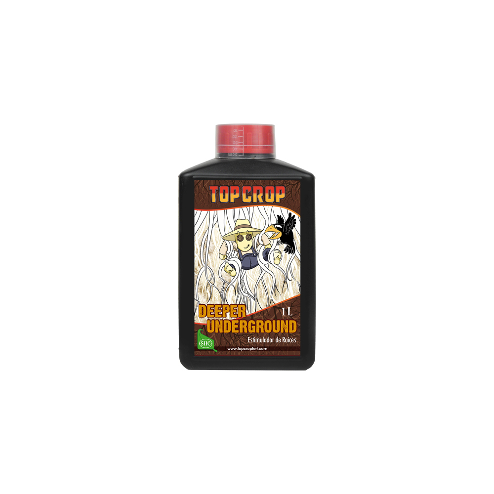 TOPCROP_DEEPER_1L_FTC.002-1.jpg