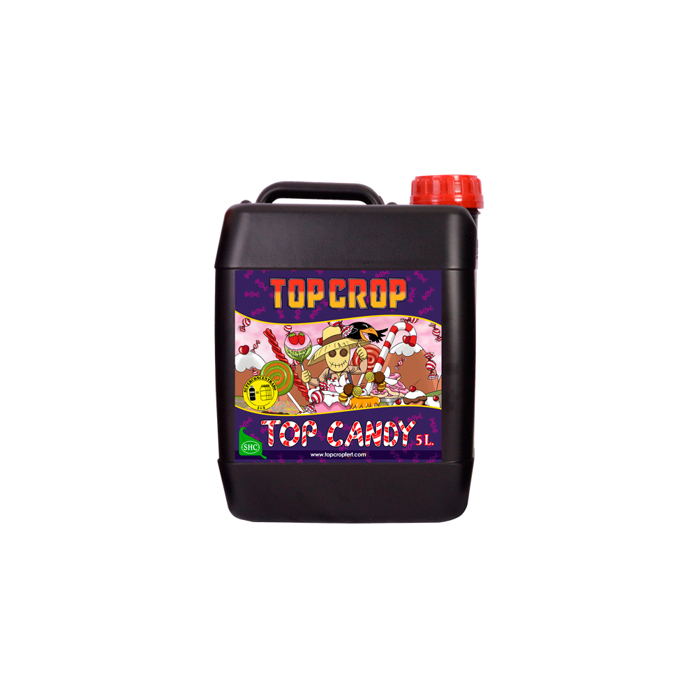 TOPCROP_TOP_CANDY_5L_FTC.008-5.jpg